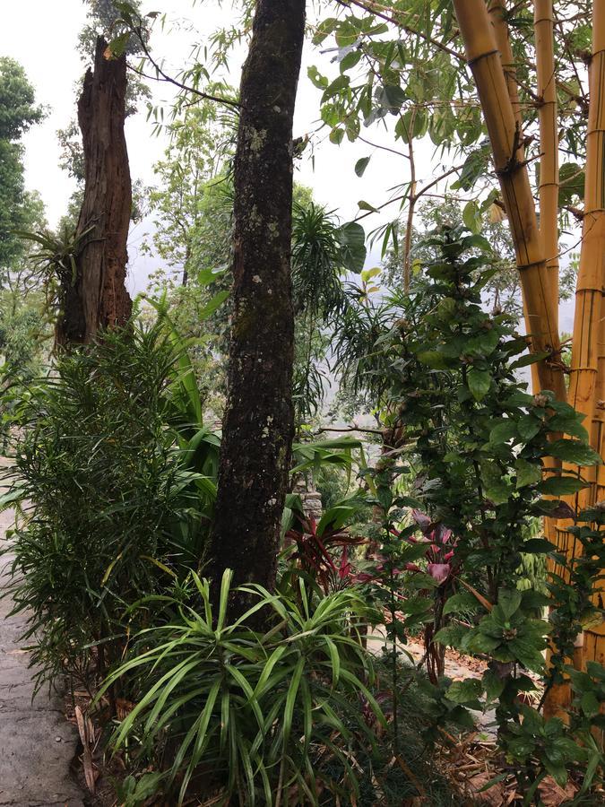 Hidden Paradise Guest House Pokhara Bagian luar foto