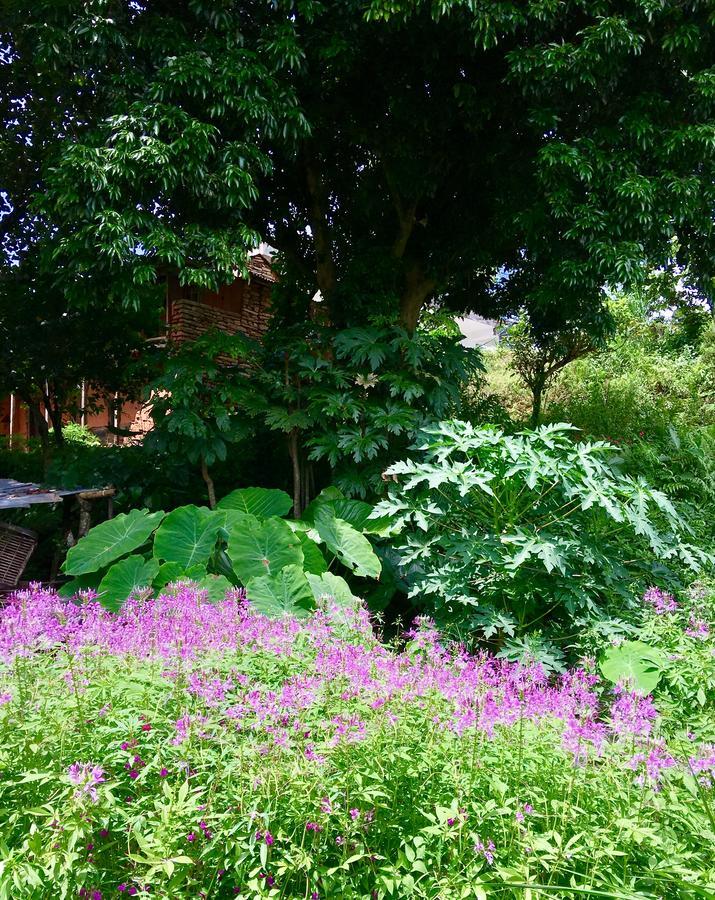 Hidden Paradise Guest House Pokhara Bagian luar foto